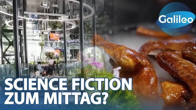 Science Fiction zum Mittag? Die verrücktesten Restaurants in China