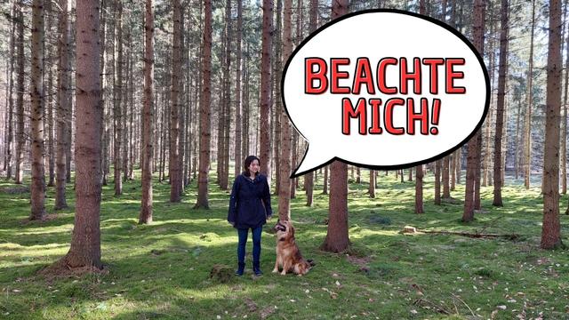 Wieso sind Menschen so anstrengend (geworden)?