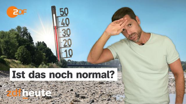 Hitze, Hagel - keine Hilfe? Ignoriert die Politik den Sommer der Extreme?
