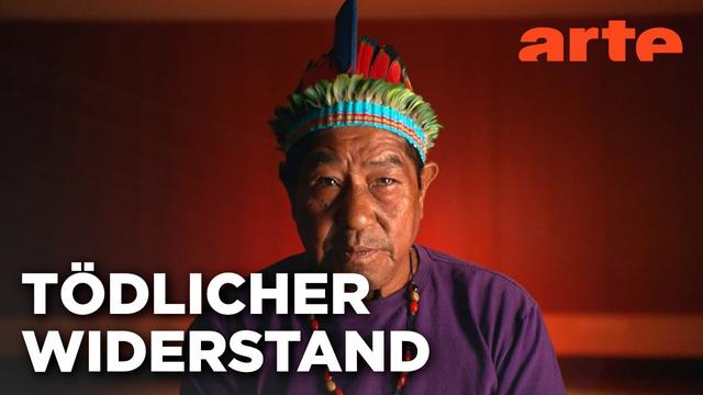 Lebensgefahr: Umweltschützer im Visier | Doku HD | ARTE