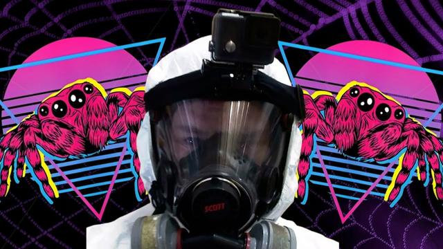 Die unvorstellbare Spinnenplage von Beanmeister 22