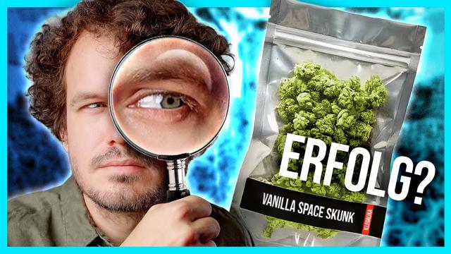 Was hat sich nach einem Jahr legal Kiffen geändert?