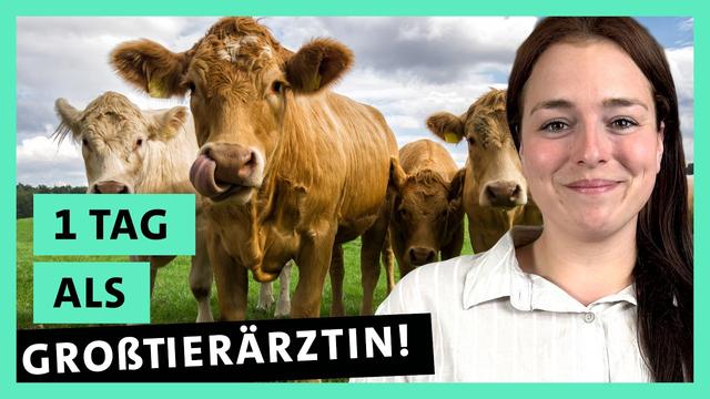 Großtierärztin im Dauereinsatz: Zwischen Kühen, Pferden und Ziegen | alpha Uni
