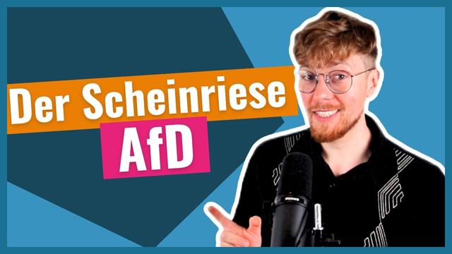 Was dir die Medien über die AfD verschweigen!