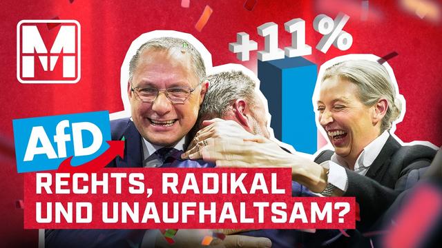 AfD-Erfolg trotz Skandalen: Warum wählen so viele Menschen die AfD? - MONITOR