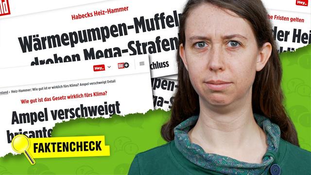 Wärmepumpen-Lügen ZERSTÖRT: Was die Gaslobby euch verschweigt 🤫