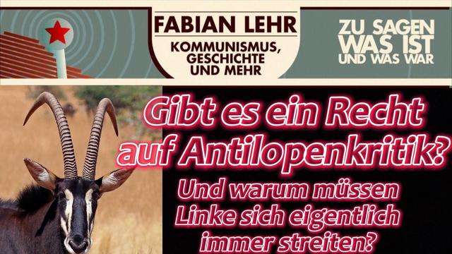 Gibt es ein Recht auf Antilopenkritik? Und warum müssen Linke sich eigentlich immer streiten?