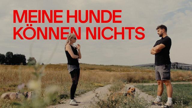 «Kommandos» sind unwichtig. Hundepsychologin Julia Recker erklärt ihr 4-Zonen System.