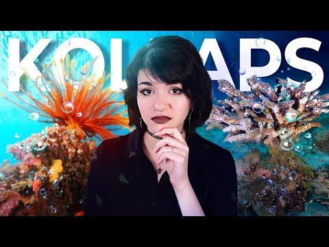 Meeresströmung im Pazifik VERSAGT - Erste Folgen des Klimawandels?!