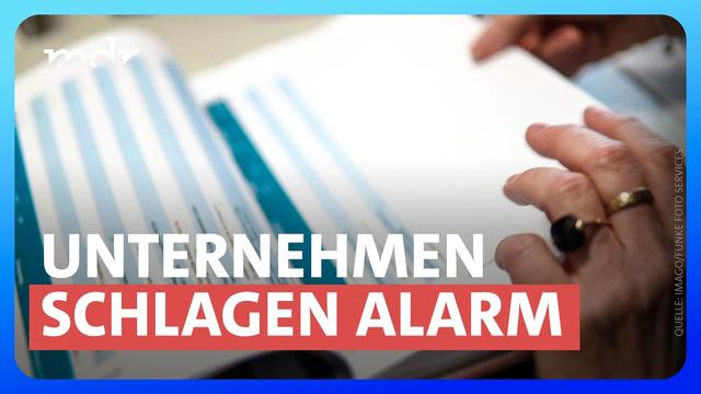 Bürokratie-Monster Deutschland | Umschau | MDR