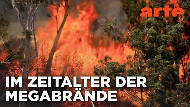 Waldbrände verhindern, aber wie? | Doku HD | ARTE