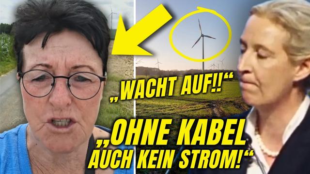 Windkraft EXISITERT NICHT! Sie Will "LINKE" Aufklären Und BLAMIERT Sich BRUTAL!