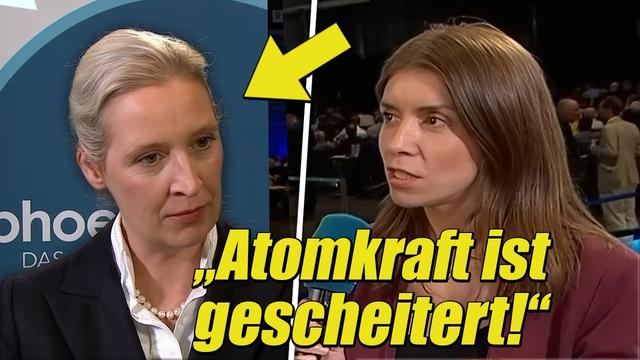 AfD-Chefin Alice Weidel Redet Sich Im Phoenix-Interview Um KOPF Und KRAGEN!