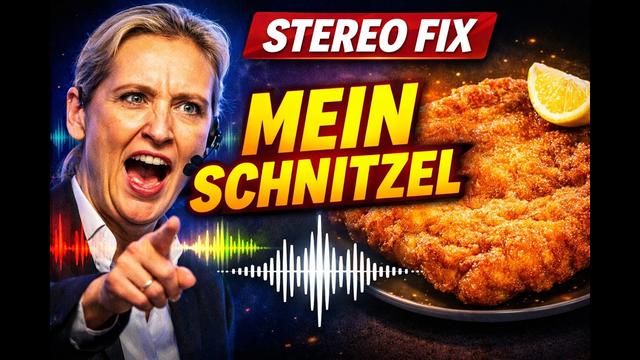 Techno Remix – „Niemand geht an mein Schnitzel“ (Audio Fix Stereo) | Alice Weidel Meme