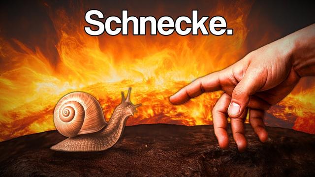 Das Rätsel der unbesiegbaren Schnecke
