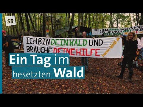 Streit um "Hanni": Baumbesetzer im Stadtwald an der Universität des Saarlandes | #zehnminuten