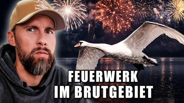 ERNEUTES Feuerwerk MITTEN im Brutgebiet! Wir brauchen eure Hilfe | Robert Marc Lehmann