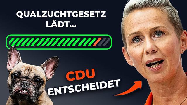 Qualzuchtverbot: Deine Stimme zählt
