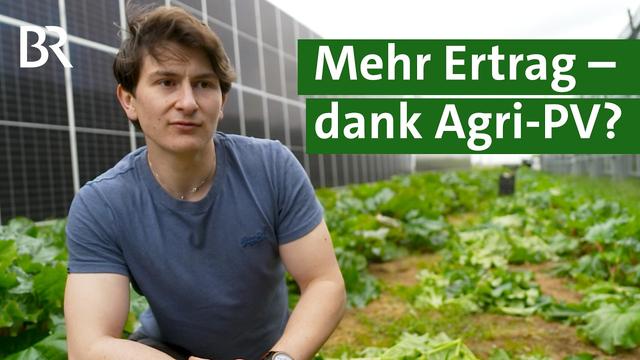 Agri-PV im Test: Wächst Bio-Gemüse unter Solarmodulen besser? | Unser Land | BR