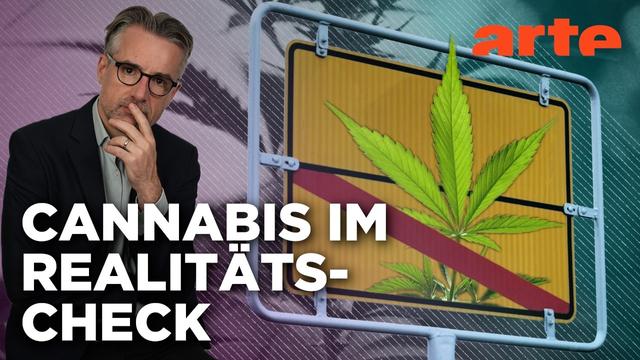 Kiffen erlaubt – Was bringt's? | Agree to Disagree! | ARTE