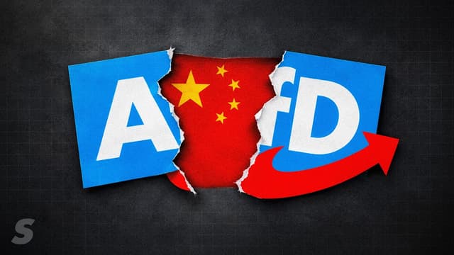 Der Spion bei der AfD