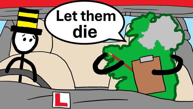 Ireland's Driver Theory Test Encourages Manslaughter