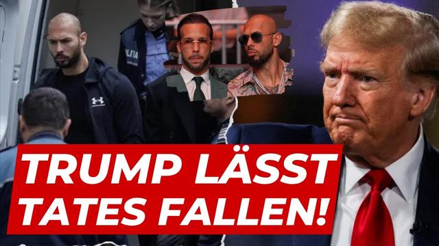 Tate Brüder plötzlich verzweifelt: Keine Begnadigung! Jammern, wirre Clips & Anwalt heult fast! 🤣🤣