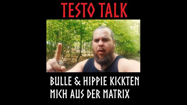 Testo RealTalk: Ein Bulle & ein Hippie haben mich aus der Matrix geholt