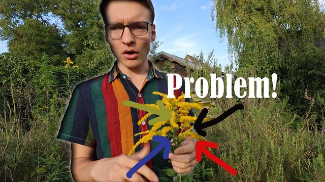 Das ZERSTÖRT meinen Naturgarten