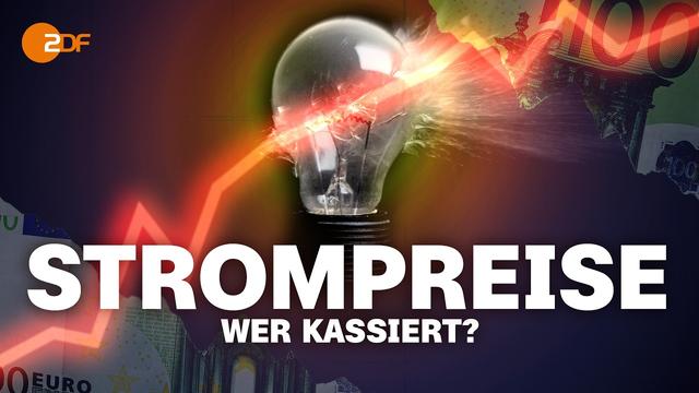 Warum Strom in Deutschland so teuer ist - und wer daran verdient | Wirtschaft erklärt