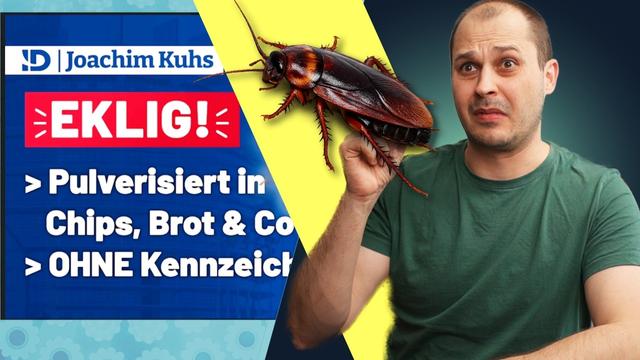 Die EU ZWINGT uns zu INSEKTEN? Ende Deutschland!