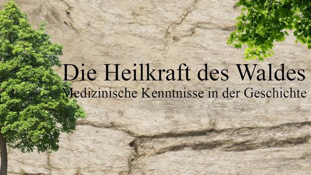 Geschichte des Waldes - Heilkraft des Waldes