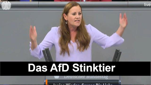 Das AfD Stinktier🦨