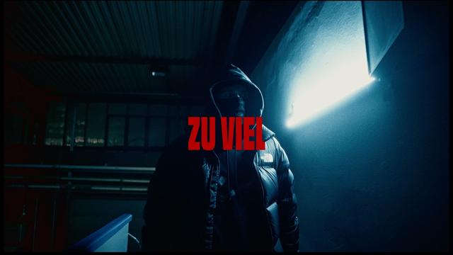Sirp & Kayn - Zu Viel (prod. trvshy10k & pieperproductions)