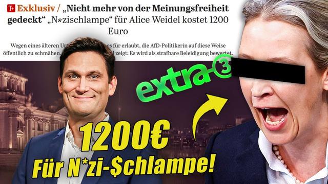 TUTORIAL: Bürgerin Wegen Alice Weidel VERURTEILT! So BELEIDIGST Du Die AfD Richtig!
