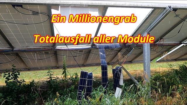 #203 - Jetzt wird es Realität - Die Prognosen bestätigen sich und wir müssen unverzüglich handeln!