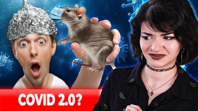 Der HANTAVIRUS lässt Schwurbler frei drehen