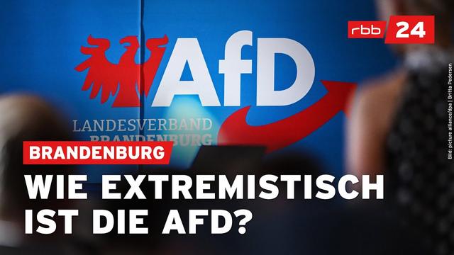 AfD Brandenburg gesichert rechtsextrem: Welche Folgen hat die Einstufung?