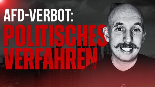 Ein politisches Verfahren: Warum das AfD-Verbotsverfahren das Grundgesetz in Gefahr bringen kann