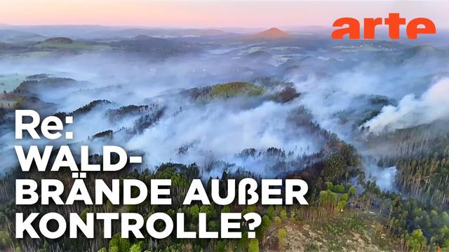 Nationalparks, Brandherde und Naturparadiese? | ARTE Re: