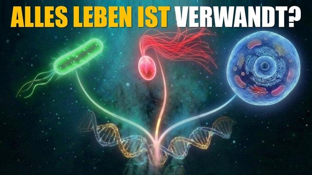 Woher kommt alles Leben? LUCA und die drei Domänen | Von LUCA zum Menschen #01