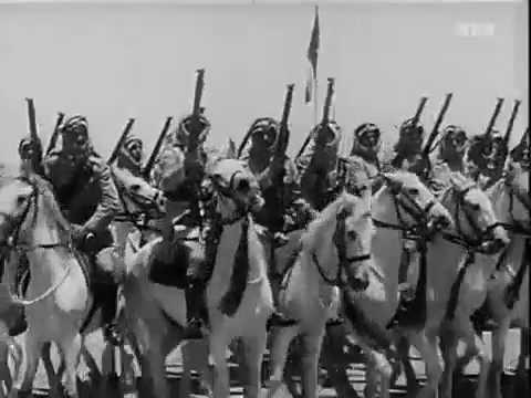 Die Araber: Geschichte eines Feindbildes