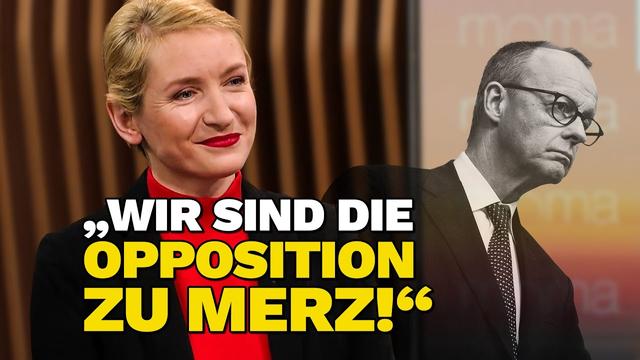 Ines Schwerdtner Über Trump, Friedrich Merz Und Den Drohenden Rechtsruck!