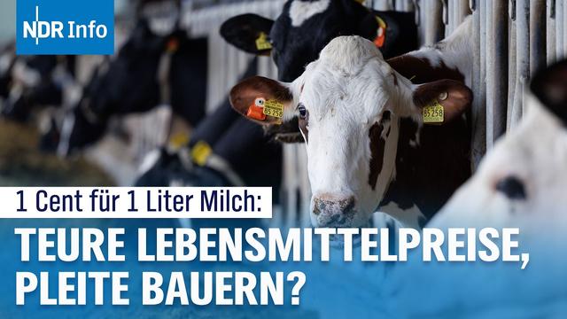Bauern-Sterben trotz Rekordpreisen: Wo landet unser Geld?