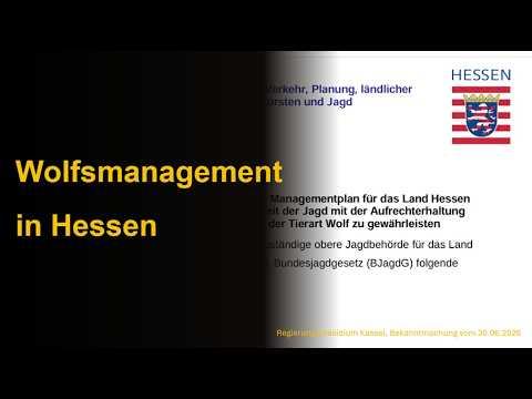Wolfsmanagement in Hessen