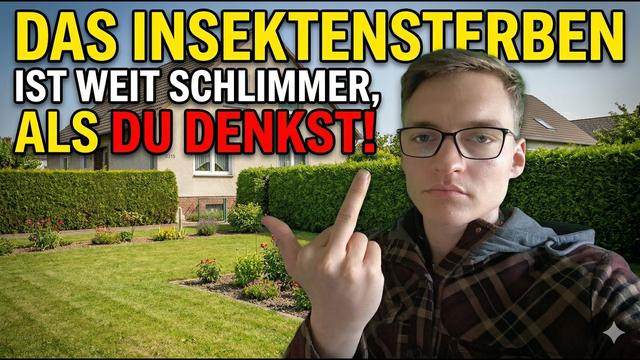 Das INSEKTENSTERBEN ist weit schlimmer, als DU denkst!