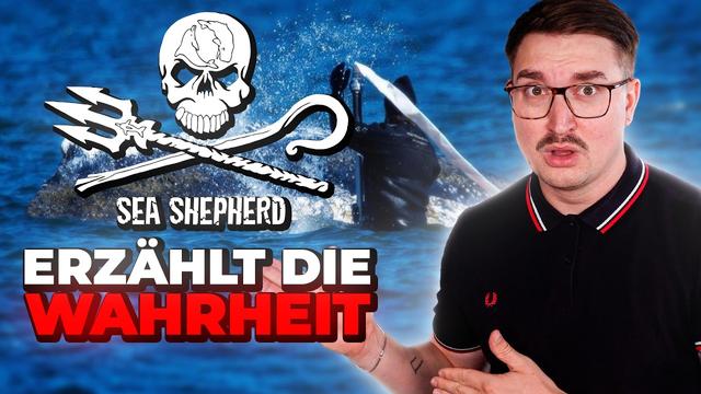 Sea Shepherd Aktivist erzählt mir die WAHRHEIT über Timmy den Wal 🐋😔
