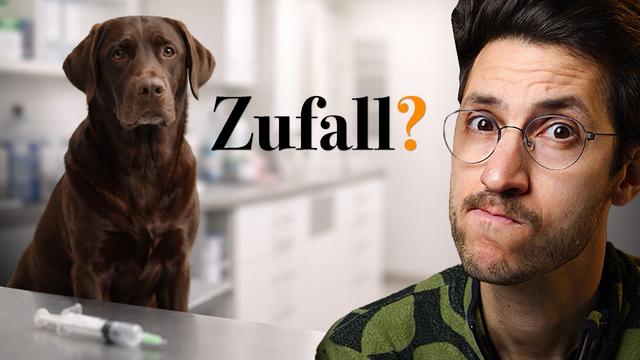 Zufall oder echtes Risiko? Wie Nebenwirkungen bei Tieren erkannt werden