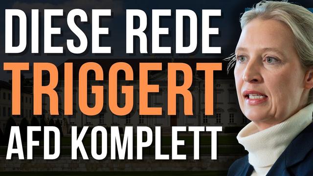 AfD-Meltdown: Wegen dieser Rede flippt die AfD spektakulär aus