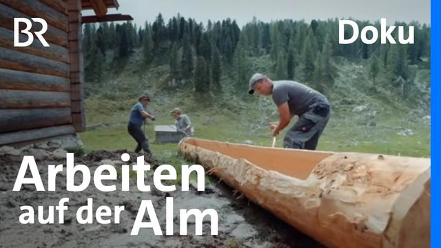 Viehtränke bauen und Schafherde suchen: Hirtenleben im Dachsteingebirge | Unter unserem Himmel | BR